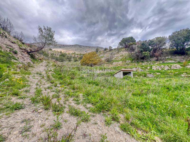 Foto 9f9fef11-831e-495c-8e7a-0bf703db2393. Residential plot in Tárbena