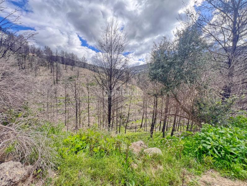 Foto b994c377-0737-4243-995b-10d546799fde. Residential plot in Tárbena