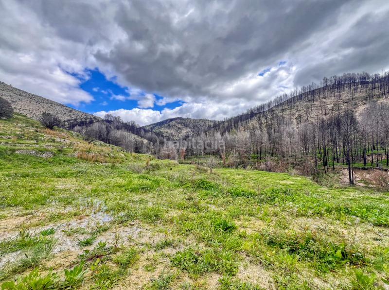 Foto e50a3cf8-689e-4df4-9414-2ad93da151a5. Residential plot in Tárbena