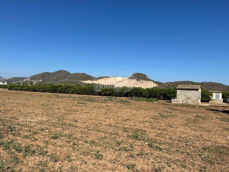 Foto 5e2ee3e2-b3ee-4e37-a325-ff271f55d1bd. Finca rústica a Pego