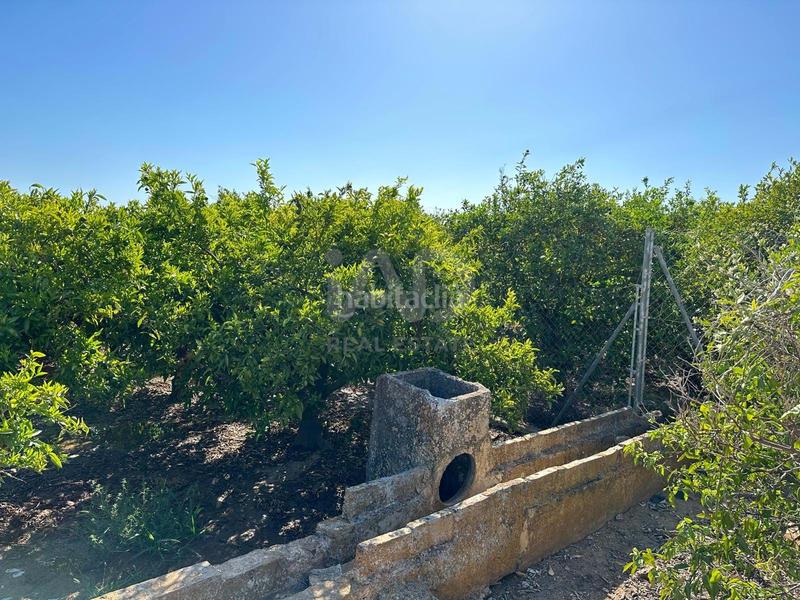 Foto 6dd03163-7e90-4813-b4a9-410db73dd548. Finca rústica a Pego