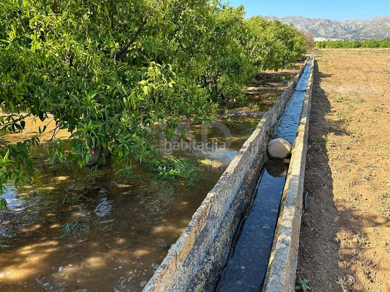 Foto 89800719-ba64-48a4-be09-a611e7906925. Finca rústica a Pego