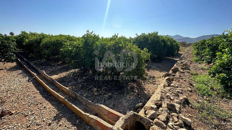 Foto 9aadac65-3ebd-4722-b459-d121602fd824. Finca rústica a Pego