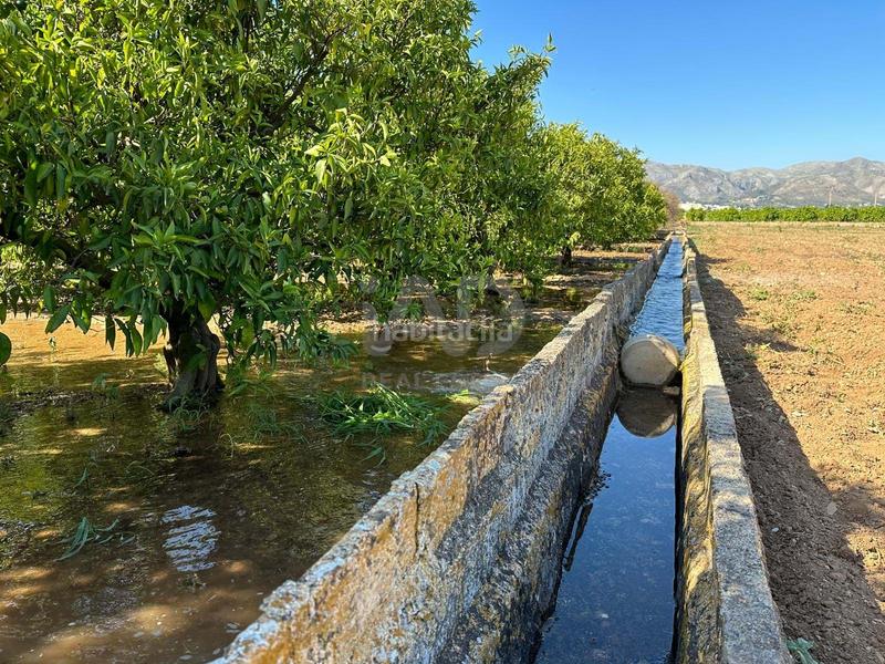 Foto b12cda0b-c5c7-4327-8ac9-c68565eecbb1. Finca rústica a Pego