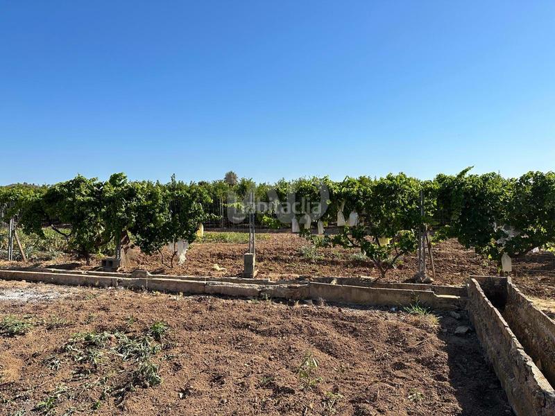 Foto dc45e73e-0fa5-4f22-9ede-4943f4deba86. Finca rústica a Pego