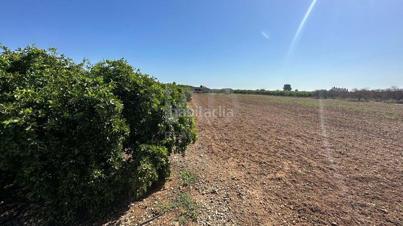 Foto fc2448ba-5686-449d-bd9b-387eca6ef0d6. Finca rústica a Pego