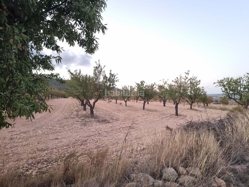 Foto 091f2ad8-ea40-44e4-beb5-2057cb32ed1a. Terreny residencial a Salinas