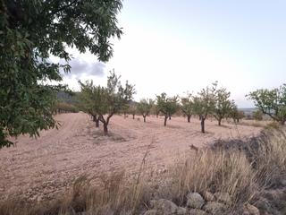 Residential Plot in Salinas