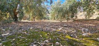 Terreny residencial a Carretera a-348