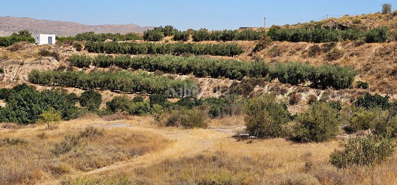 Foto 06d63a39-781e-4d94-8853-7a0c5c5afe85. Terreny residencial a Bentarique