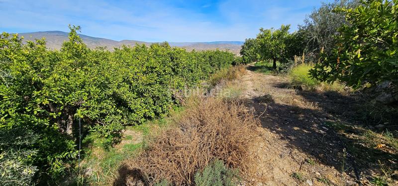 Foto 32a34764-8d09-4801-bfa1-3d2b08acdb91. Terreny residencial a Bentarique