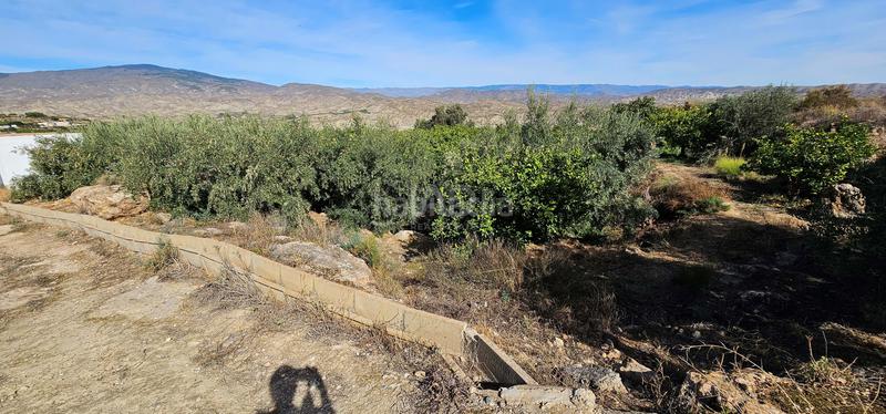 Foto 7fbdf9de-bdae-41f8-bbe6-0e0295836ce5. Terreny residencial a Bentarique