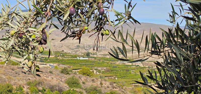 Foto da7a315b-f339-4176-9732-451fdfae681d. Terreny residencial a Bentarique