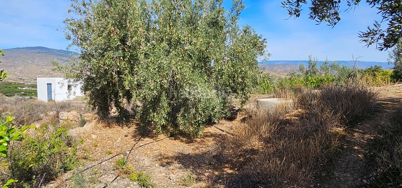 Foto de88a1c8-504a-427b-b54f-8217401b311e. Terreny residencial a Bentarique