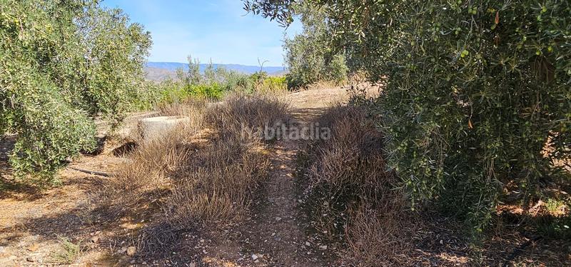 Foto fc2578a4-d488-4607-9439-8ff109c84f30. Terreny residencial a Bentarique