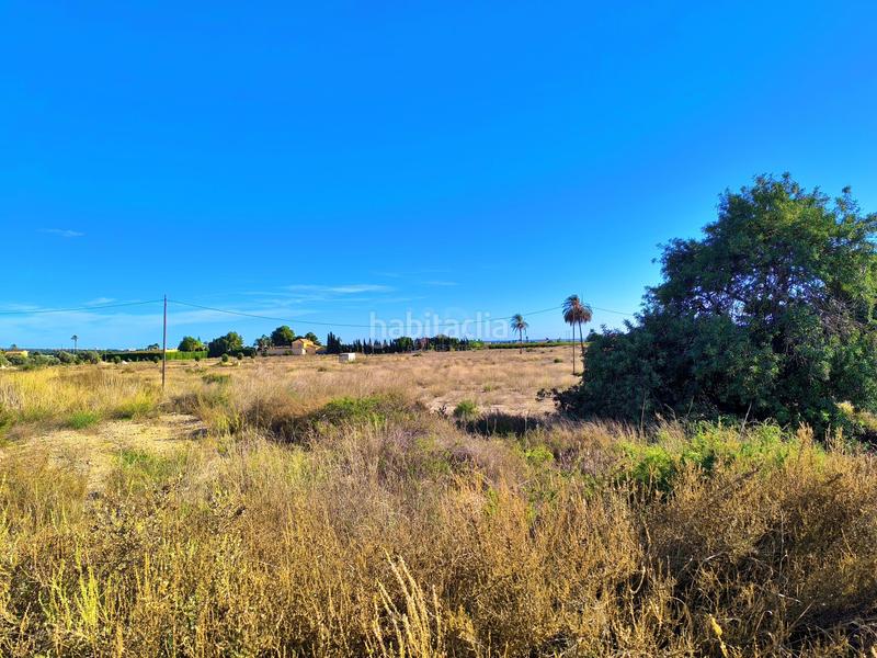 Foto d91ba666-f7cf-48d7-91e7-73e6faf463c0. Terreny residencial a lugar baya alta a Las Bayas Elche / Elx