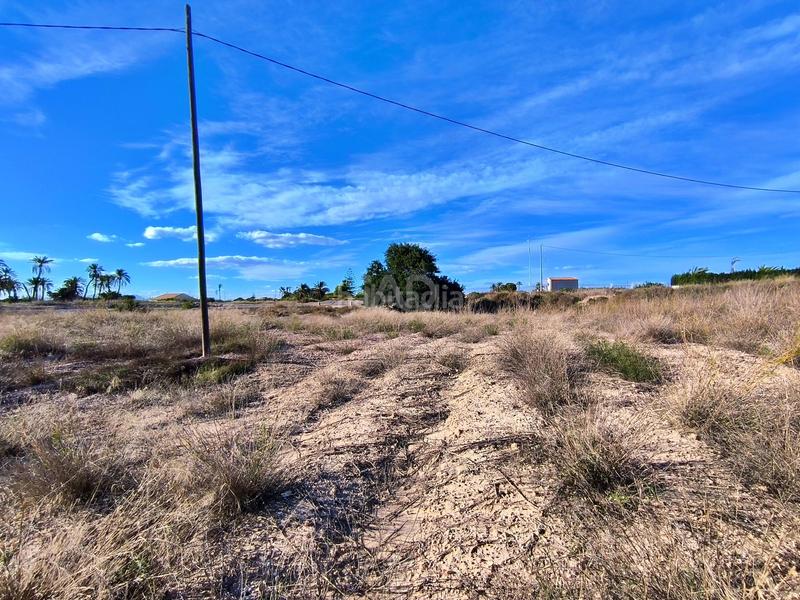 Foto 5026c7e3-feb1-4d8a-bfa4-699e840a0c5d. Terreno residenziale in lugar baya alta in Las Bayas Elche / Elx