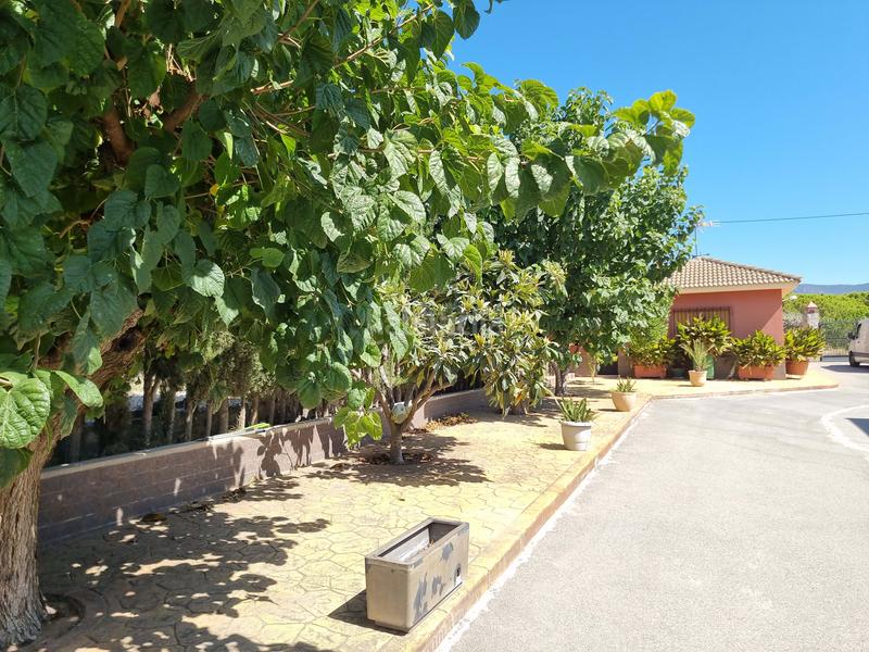 Foto df105543-77e2-4365-8bf3-bdb7a7b51179. Maison avec piscine dans Sax