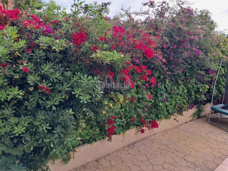 Foto 3158dab0-9644-4534-8096-22004c147922. Location maison dans Monte Faro-Altomar II Santa Pola