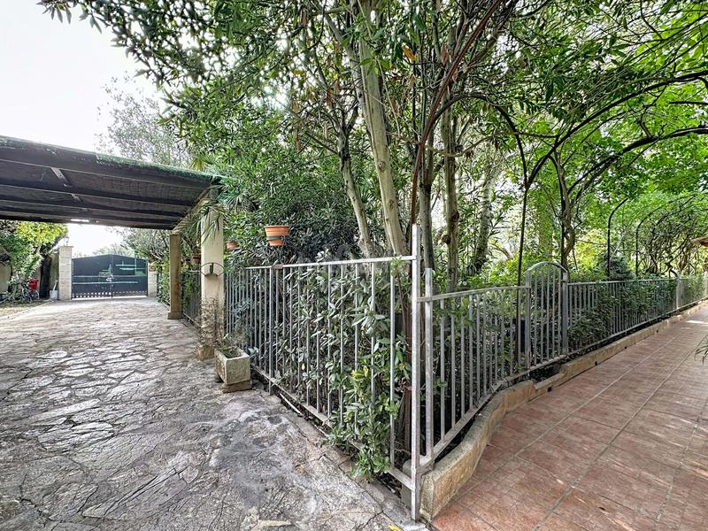 Foto bc02a826-acf0-40dd-b9dd-6ac69c9d716a. Chalet en port de Pollença Pollença