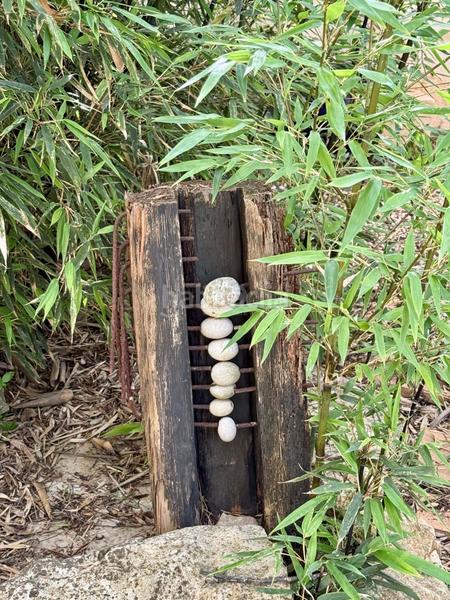 Foto f346657a-56c8-426f-8402-06e4025048dc. Chalet in cm santuari 4 in Puerto Xàbia