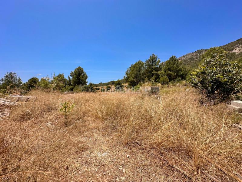 Foto 034e8fdd-a63e-4402-bf27-77d280e7e229. Rural plot in Polop