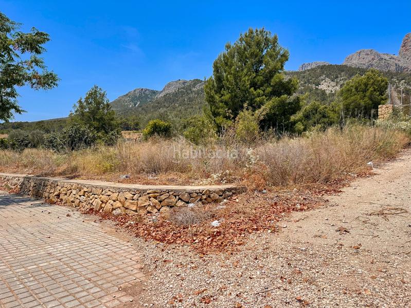 Foto 6531062d-b838-4a1c-ae9b-6e7b6beac4dc. Rural plot in Polop