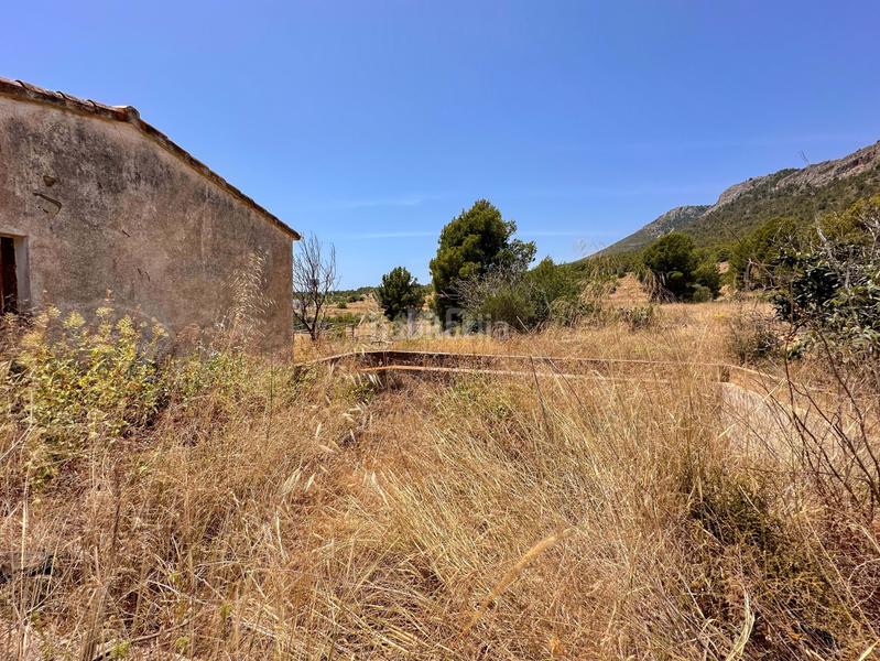 Foto 94ece807-4884-4a84-863a-3363bafe03cf. Rural plot in Polop