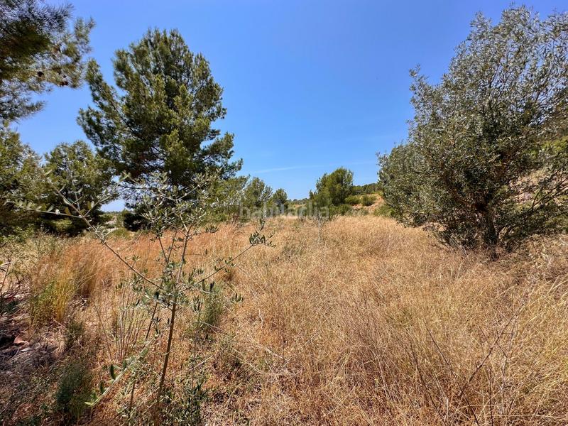 Foto a9c37ffc-bfbc-4beb-8c89-eb66876aff34. Rural plot in Polop