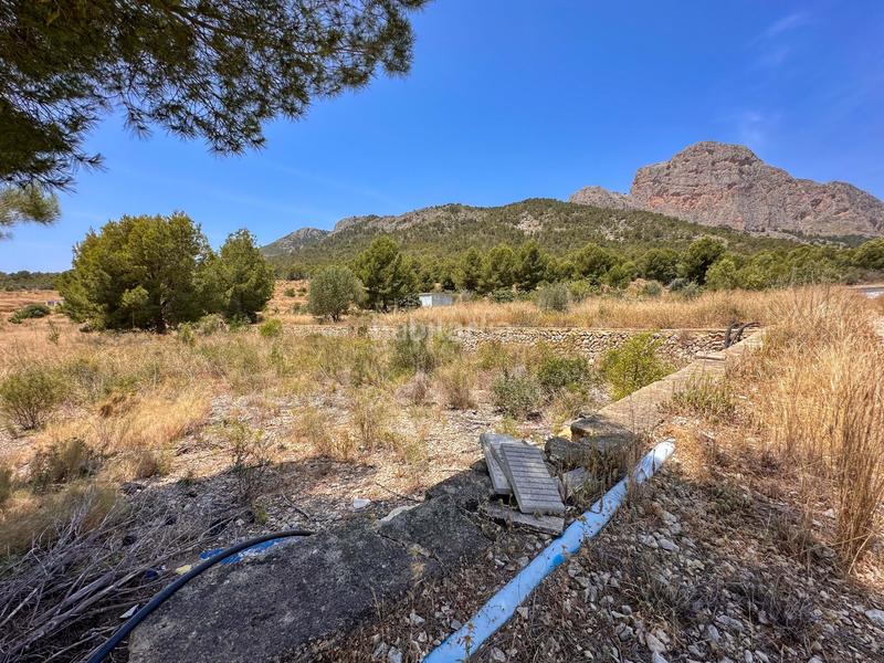 Foto d89c4f08-bae4-4c34-a0fc-48352dddd312. Rural plot in Polop