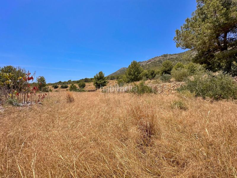 Foto eaac8c81-66d1-4f62-8de1-a069b09b8588. Rural plot in Polop