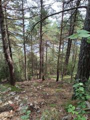 Residential Plot in Coma i la Pedra (La)