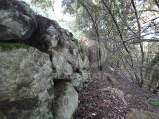 Terrain résidentiel à Escorca