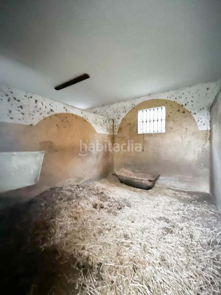 Foto 607339cc-658c-4bd3-ad62-7d13ed7f6e52. Alquiler local comercial en calle poligono 32 parcela256 parcela256 en Benajarafe