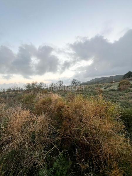 Foto 70afbe17-388f-4668-b87e-f826815ad171. Alquiler local comercial en calle poligono 32 parcela256 parcela256 en Benajarafe