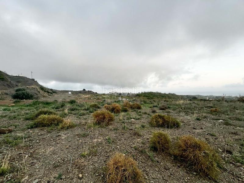 Foto 9c32affa-0c3a-4602-9b01-a300a5492141. Alquiler local comercial en calle poligono 32 parcela256 parcela256 en Benajarafe