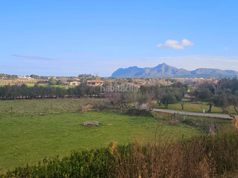 Foto c1669da3-385b-44c0-bddd-96a677f74c2f. House with heating parking pool in ciutat d´Alcúdia Alcúdia