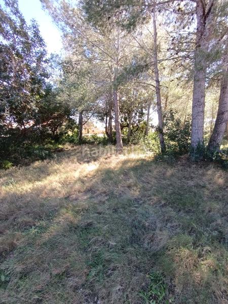 Foto 00a640a4-9c78-4d56-a980-d780d784631f. Residential plot in calle urbanizacion meligo poligono 26 19 19 in Ampolla (L´)