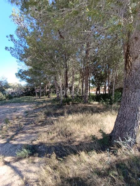 Foto 271c5e3e-08a5-4560-bdfb-8ab802765e1a. Residential plot in calle urbanizacion meligo poligono 26 19 19 in Ampolla (L´)