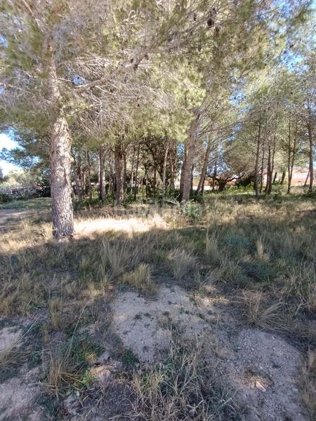 Foto 2cfafcc2-2e05-4cec-b03d-58d9c1c6651d. Residential plot in calle urbanizacion meligo poligono 26 19 19 in Ampolla (L´)