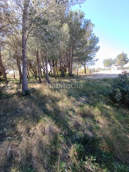 Foto 4f239913-b0c8-454e-9698-7ccc2a518159. Residential plot in calle urbanizacion meligo poligono 26 19 19 in Ampolla (L´)