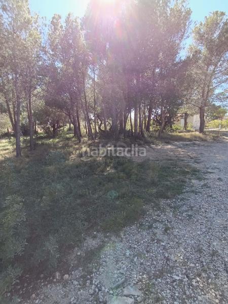Foto 5a548b00-5ac1-445b-b7ca-7b370edb08d5. Residential plot in calle urbanizacion meligo poligono 26 19 19 in Ampolla (L´)