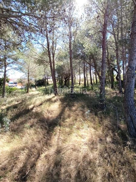 Foto 83f83102-7b66-4914-984b-56f70e66e003. Residential plot in calle urbanizacion meligo poligono 26 19 19 in Ampolla (L´)