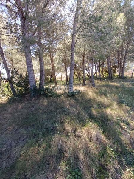 Foto af193a24-1a31-4a86-b5cd-6fe3a9cfa6fc. Residential plot in calle urbanizacion meligo poligono 26 19 19 in Ampolla (L´)