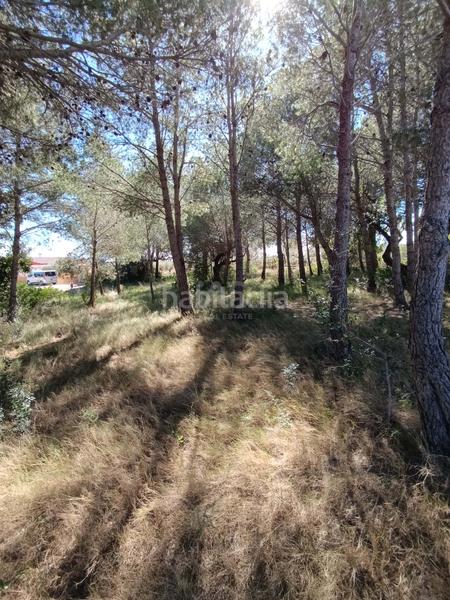 Foto e33e58b1-5a9c-4130-a607-ca45cb997dc3. Residential plot in calle urbanizacion meligo poligono 26 19 19 in Ampolla (L´)