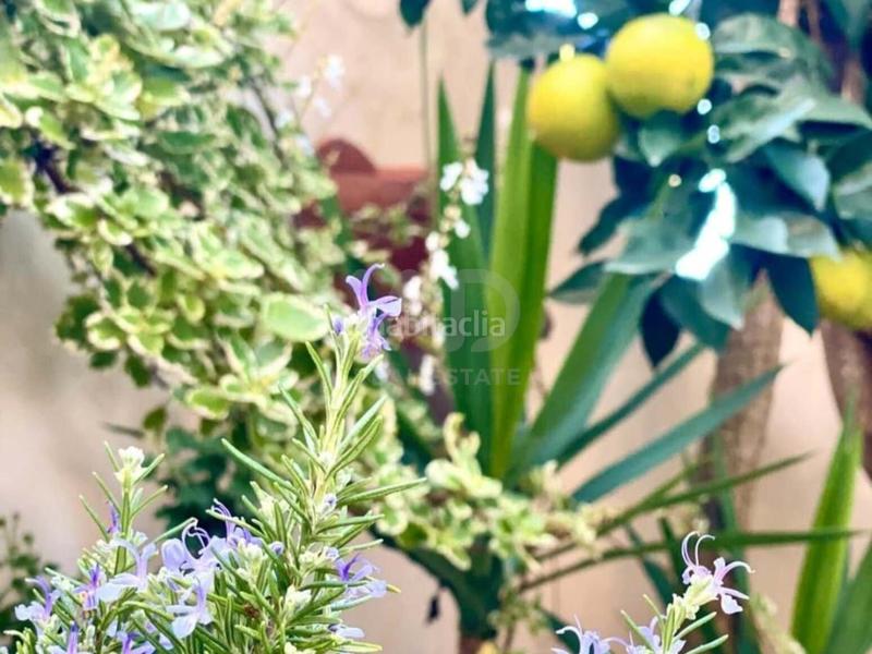 Foto 2ee6df4d-1b37-4086-b1db-5d7a686eb9aa. Doppelhaus mit parking in Tarifa ciudad Tarifa