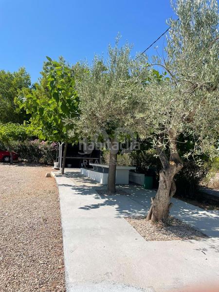 Foto 42262d1f-e61f-4b49-80e5-1332ef817d1c. Piso en Alcanar