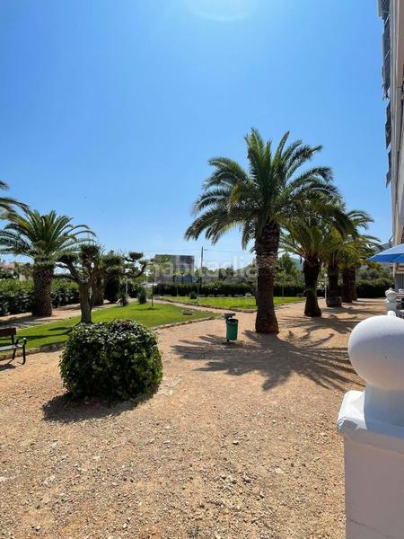 Foto eab4a407-4d9f-4fe9-b5f9-47f9b44cd4af. Piso en Alcanar