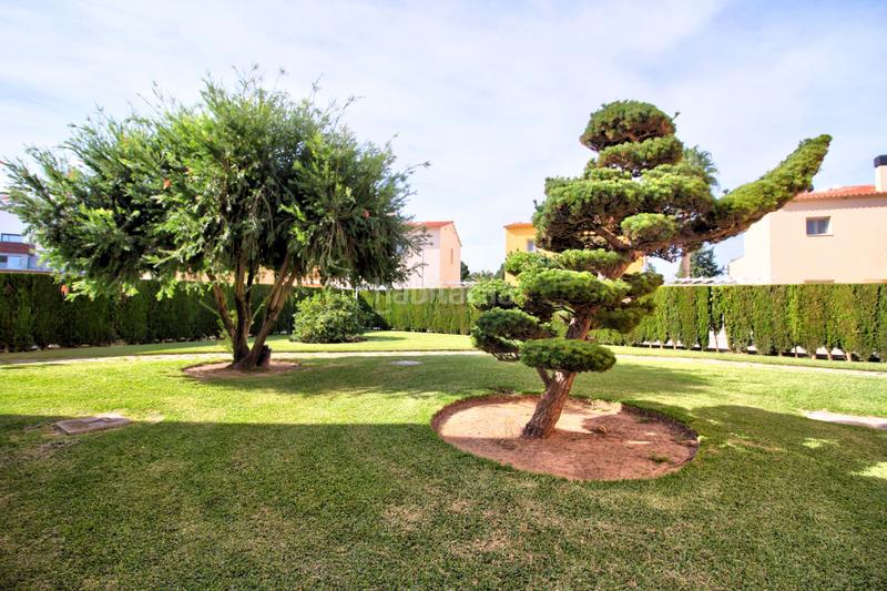 Foto d8e23ab1-d868-45e3-a308-2a63bbfe982b. Flat with heating pool in Oliva nova Oliva