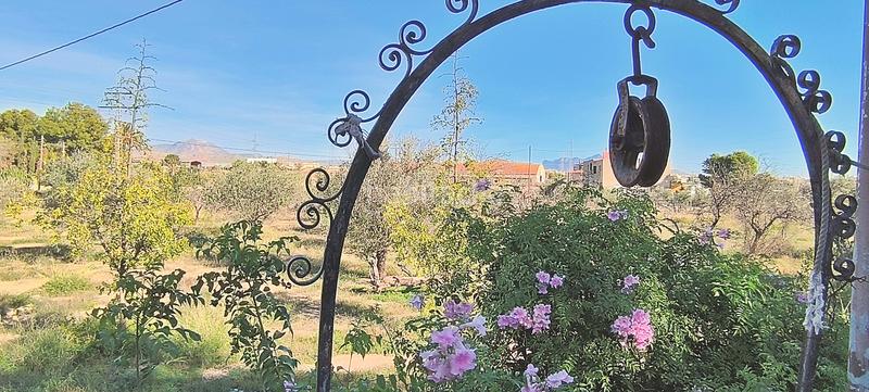 Foto 312f47a1-8c8d-442e-9303-7b16b0b3c1a3. Casa en camino de la colomina 4 en Cañada del Fenollar Alicante